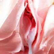 ヒメ日記 2025/02/04 14:33 投稿 ももえ ダイスキ