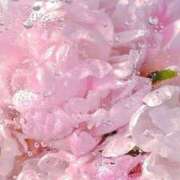 ヒメ日記 2025/02/10 08:31 投稿 ももえ ダイスキ