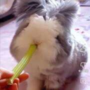 ヒメ日記 2025/02/20 07:55 投稿 ももえ ダイスキ