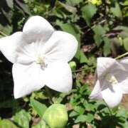 ヒメ日記 2025/02/27 12:32 投稿 ももえ ダイスキ