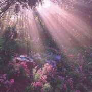 ヒメ日記 2025/03/06 07:01 投稿 ももえ ダイスキ