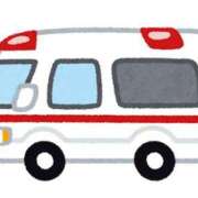 ヒメ日記 2025/03/08 11:29 投稿 ももえ ダイスキ