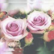 ヒメ日記 2025/03/08 16:45 投稿 ももえ ダイスキ