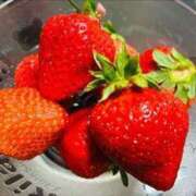 ヒメ日記 2025/03/15 09:35 投稿 ももえ ダイスキ