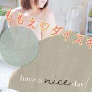 ヒメ日記 2025/03/18 09:14 投稿 ももえ ダイスキ