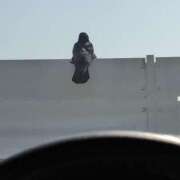 ヒメ日記 2025/04/20 09:08 投稿 ももえ ダイスキ