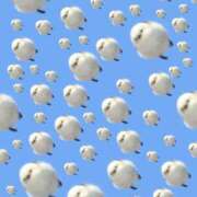 ヒメ日記 2025/04/28 14:50 投稿 ももえ ダイスキ