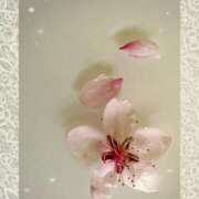 ヒメ日記 2025/05/02 13:01 投稿 ももえ ダイスキ