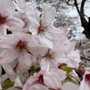 ヒメ日記 2025/05/12 03:24 投稿 ももえ ダイスキ