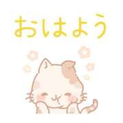 ヒメ日記 2025/06/05 06:45 投稿 ももえ ダイスキ