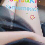 ヒメ日記 2025/06/25 07:44 投稿 ももえ ダイスキ