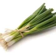 ヒメ日記 2025/07/05 16:36 投稿 ももえ ダイスキ