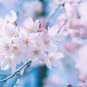 ヒメ日記 2025/07/07 08:10 投稿 ももえ ダイスキ