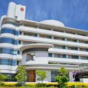 ヒメ日記 2025/07/08 06:45 投稿 ももえ ダイスキ