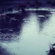 ヒメ日記 2025/07/17 07:04 投稿 ももえ ダイスキ