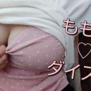 ヒメ日記 2025/08/03 08:17 投稿 ももえ ダイスキ