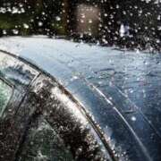 ヒメ日記 2025/08/11 08:59 投稿 ももえ ダイスキ