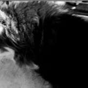 ヒメ日記 2025/10/04 16:14 投稿 ももえ ダイスキ