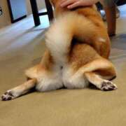 ヒメ日記 2025/10/22 14:21 投稿 ももえ ダイスキ