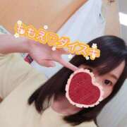 ヒメ日記 2025/11/03 17:40 投稿 ももえ ダイスキ