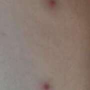 ヒメ日記 2025/11/19 10:53 投稿 ももえ ダイスキ