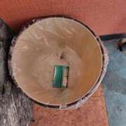 ヒメ日記 2025/12/08 12:22 投稿 ももえ ダイスキ