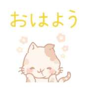 ヒメ日記 2025/12/17 08:50 投稿 ももえ ダイスキ