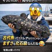 ヒメ日記 2025/12/20 07:05 投稿 ももえ ダイスキ