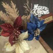 ヒメ日記 2025/12/25 15:36 投稿 ももえ ダイスキ