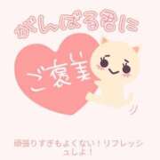 ヒメ日記 2026/01/30 07:01 投稿 ももえ ダイスキ