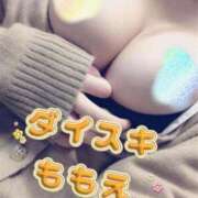 ヒメ日記 2026/03/01 07:58 投稿 ももえ ダイスキ