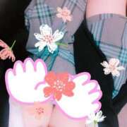 ヒメ日記 2026/05/09 09:10 投稿 ももえ ダイスキ