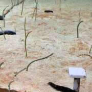 ヒメ日記 2024/12/29 19:23 投稿 あかり 尼妻（あまづま）