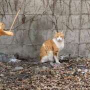 ヒメ日記 2025/02/28 13:08 投稿 あかり 尼妻（あまづま）