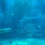 ヒメ日記 2025/06/28 08:00 投稿 あかり 尼妻（あまづま）