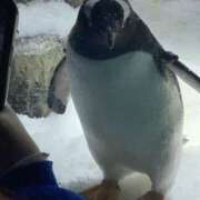 ヒメ日記 2025/07/03 11:15 投稿 あかり 尼妻（あまづま）