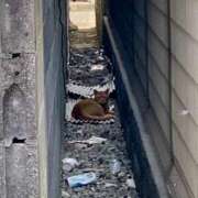 ヒメ日記 2025/08/31 08:00 投稿 あかり 尼妻（あまづま）