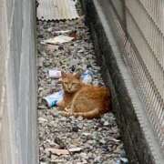 ヒメ日記 2025/09/19 11:30 投稿 あかり 尼妻（あまづま）