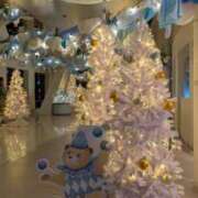 あかり 🐈‍⬛本日出勤 尼妻（あまづま）