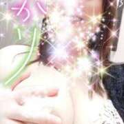あかり 🐈‍⬛親知らず前夜祭！！ 尼妻（あまづま）
