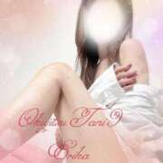 ヒメ日記 2025/05/25 08:01 投稿 えりか 奥様の実話 谷九店