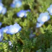 ヒメ日記 2026/04/15 08:45 投稿 えりか 奥様の実話 谷九店