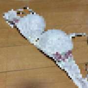 ヒメ日記 2025/02/24 23:03 投稿 あすな 湯房 湯島御殿