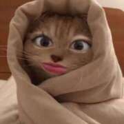 ヒメ日記 2025/02/25 12:01 投稿 ノン エピソード(品川)