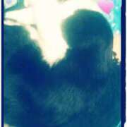 ヒメ日記 2024/12/12 10:08 投稿 中山 鶯うぐ