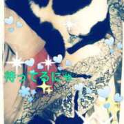 ヒメ日記 2024/12/19 12:54 投稿 中山 鶯うぐ