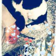 ヒメ日記 2024/12/21 21:32 投稿 中山 鶯うぐ