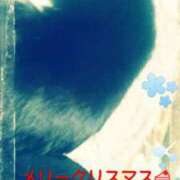 ヒメ日記 2024/12/25 12:48 投稿 中山 鶯うぐ