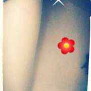 ヒメ日記 2025/01/16 12:56 投稿 中山 鶯うぐ