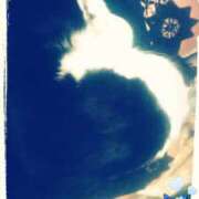 ヒメ日記 2025/01/16 22:22 投稿 中山 鶯うぐ